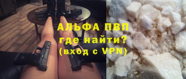 шишки Абаза
