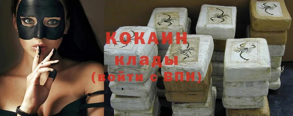 шишки Абаза