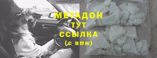 шишки Абаза