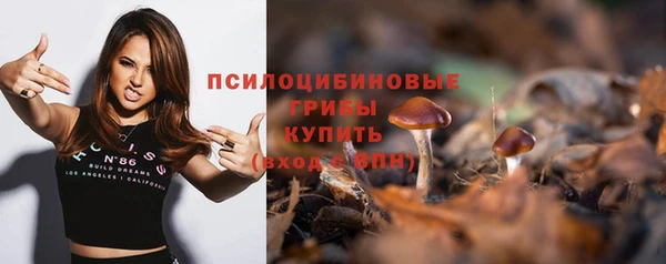 шишки Абаза