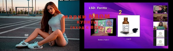 шишки Абаза