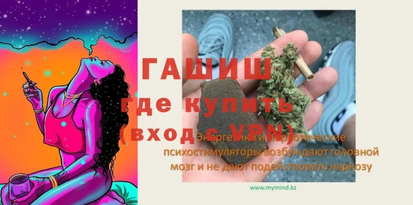 шишки Абаза