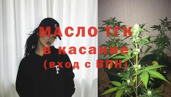 шишки Абаза
