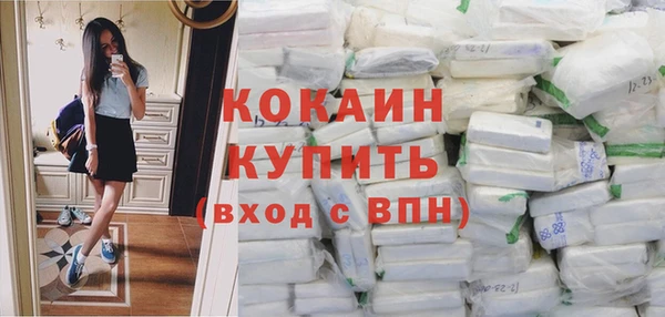 шишки Абаза