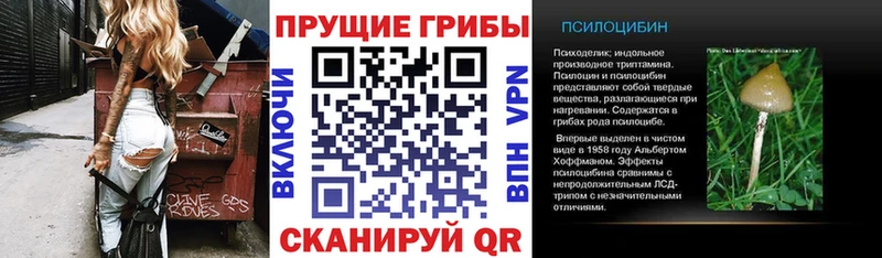 Псилоцибиновые грибы Magic Shrooms  Курчатов 